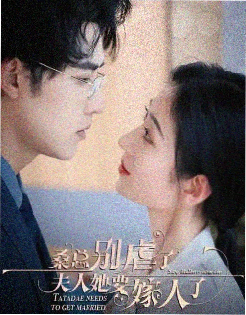锦鲤实习生剧集封面